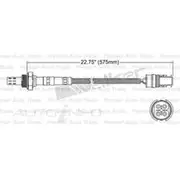 PAT Oxygen Sensor - EGO-179