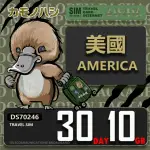 【鴨嘴獸 旅遊網卡】TRAVEL SIM 美國30天10GB 上網卡(美國上網卡 出國網卡 旅遊網卡)