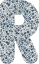 Liberty Phoebe R R Upper Letter Applique, 2 Inch