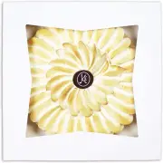 9x9x2.5 Inch White Bakery Boxes with Window | 50 Pack | Pie Box Cookies Cake ...