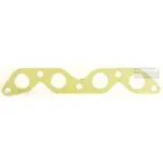 Platinum Extractor Gasket - HSM303
