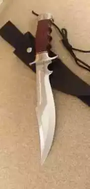 D2 Steel Survival Bowie Knife Camping Outdoor Custom Handmade Bowie Knife