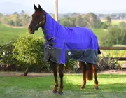 Eclipse Rainsheet Combo - 6.9FT / Pacific Patchwork