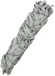 SALTCO Organic Smudge Stick Californian White Sage 14cm