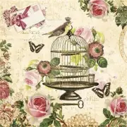 VINTAGE CAGE 20pcs Lunch Paper Napkins for Decoupage, Decoupage Paper Vintage