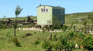 The Buteland Stop Shepherds Hut