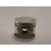 Austral Piston Set - PO420 060