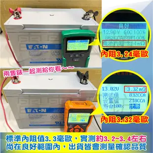 電電工坊 中古21年 EATON 飛瑞 12V100AH 深循環蓄電池 湯淺代工 台灣製 保固半年 NPA100-12I