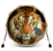 Custom Bass Drum Head with 4" Port Ring - Tiger King
