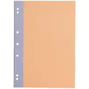 Studymate A4 70gsm Ruled Binder Book 96 Page Pastel Orange