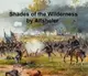 【電子書】The Shades of the Wilderness, A Story of Lee's Great Stand