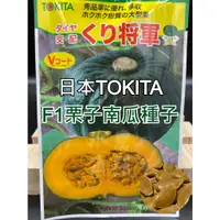 在飛比找蝦皮購物優惠-【現貨。不用再問】F1品種 日本 TOKITA 栗子南瓜種子