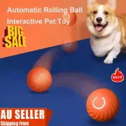 LED Rolling Ball Toys Self Rotating For Dog Cats DY