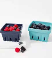 New! Set of 2 Ceramic Berry Bowls Colanders Small & Large ~Katie Kime