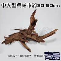 在飛比找蝦皮購物優惠-【青島水族】天然沉木 中大型 = 紫柚木 = 沉木 流木 木