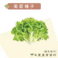 在飛比找蝦皮購物優惠-[優良種子] 菊苣種子(名目菜)，4公克(約3000粒種子)