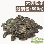 藍亞仕 大葵瓜子500G(分裝包)│大瓜子 帶殼 天然零嘴點心 鸚鵡 鼠 倉鼠 黃金鼠《寵物鳥世界》CC070