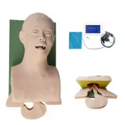 Electronic Silicone Airway Management Trainer,110VStudy Manikin TeachingModel