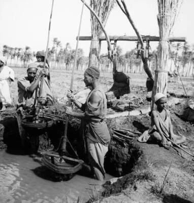 Workers using a noria as a means to irrigate their cultures, circa - Old Photo