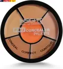 Cosmetics Pro Concealer Palette (Concealer)