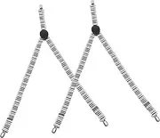 [LIFKOME] 2 Pcs Boys and Girls Suspenders Piano Keys Print Y-back Style Boys Elastic Braces for School Outdoor