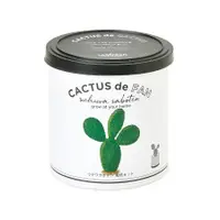 在飛比找誠品線上優惠-聖新陶芸CACTUS de CACTUS仙人掌植物栽培組/ 