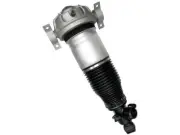 For 2003-2006, 2008-2010 Porsche Cayenne Suspension Air Strut Unity 18238JZMC (for: Porsche)