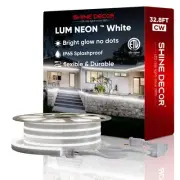 LED Neon Rope Lights AC 120V, Expandable & Cuttable 120LEDs/M Bright Strip Li...