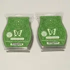 Scentsy MEET AT THE MISTLETOE Wax Bars ~ Lot Of 2 ~ December SOTM ~ NIP