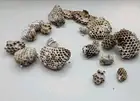 Real Wasp Nest Lot Natural Paper Nest Specimens Education South Carolina Bug