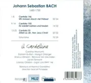 BACH: CANTATAS, BWV 146,103, 33 NEW CD