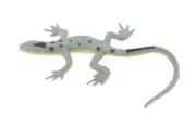 Lizard, Grey Spotted Lizard, Toy Reptile, Realistic Figure, Model, 3" F6062 B380