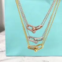 在飛比找Yahoo!奇摩拍賣優惠-【Lydia代購】TIFFANY & CO. 蒂芙尼 T家2