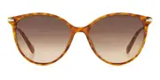 Fossil FOS 2137/G/S Asian Fit 086/HA Men's Sunglasses Tortoiseshell Size 58