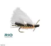 Rio Chubby Chernobyl Assortment - 24 count - Most Popular Sizes & Colors