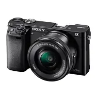 在飛比找蝦皮購物優惠-預購已付3000訂金 SONY A6000L A6100變焦