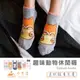 【現貨】船型襪 隱形襪 韓國襪 韓國襪子 卡通襪 女生襪子 踝襪 韓國襪子 薄襪 低筒襪 襪子韓國 韓國短襪 SOCKS