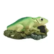 Exquisites Reptiles Aquariums Large Fish Tanks Home Office Hotel Decoration