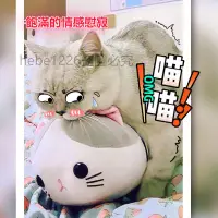 在飛比找蝦皮購物優惠-台灣出貨 玩具貓咪發情 發洩仿真公仔 抑情寵物用品神器 母貓
