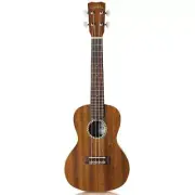 Cordoba 20 Series Concert Mahogany Ukulele Bundle