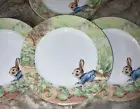 Peter Rabbit Dinner Plates Spring Garden The World Of Beatrix Potter Set 4 New
