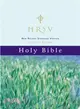 Holy Bible ─ New Revised Standard Version, Catholic Edition