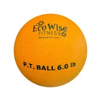 在飛比找蝦皮商城優惠-美國【EcoWise】重力球 藥球 物理治療球 6磅 3kg