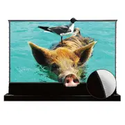 S PRO Electric Tension Floor Rising Screen With Ultra Short Throw Ambient Light Rejecting (For UST Laser Projectors)