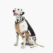 Boss Dog Varsity Bomber Beige
