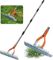 Thatch Rake with Handle for Lawns,15-Inch Garden Rake Heavy Duty Adjustable for Gardening, 19 Tines 102cm to 178cm Leaf Scarifier Rakes for Weeder ,Cleaning Dead Grass, Loosening Soil