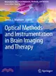 Optical Methods and Instrumentation in Brain Imaging and Therapy