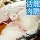 團購3片優惠！南海豐【活肉龍膽石斑魚片】海上先生漁港新鮮活體現切，肉質細嫩鮮美，豐富膠質600-700g/片