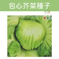 在飛比找Yahoo!奇摩拍賣優惠-～全館滿790免運～包心芥菜~Head Mustard~種子