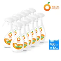 在飛比找momo購物網優惠-【橘子工坊】領袖衣領精-兩用噴槍頭(480ml*12瓶/箱)